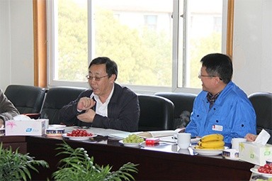 2013年3月18日，时任国度工信部节能司副司长杨铁生一行光临公司参观领导